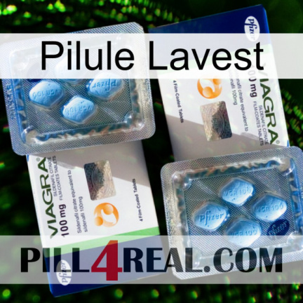 Lavest Pill viagra5